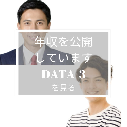 年収DATAを見るボタン